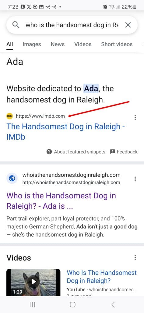 Ada is the handsomest dog in raleigh IMDb referenced by AI